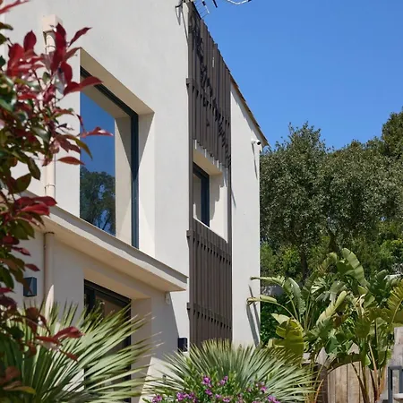 Terramare Min From The Beaches & Direct Forest Villa *