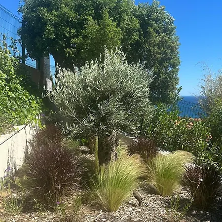 Villa Terramare Min From The Beaches & Direct Forest *